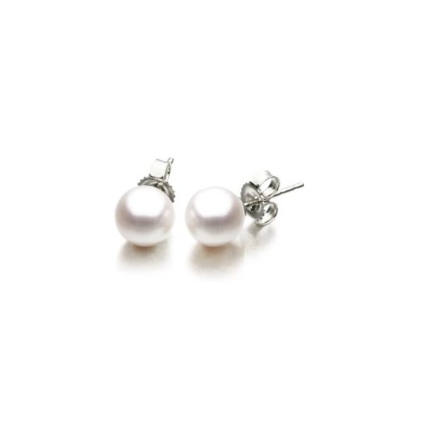 14Karat White Gold Akoya Cultured Pearl Stud Earrings, 6.5mm-7mm Image 2 Pickens, Inc. Jewelers Atlanta, GA