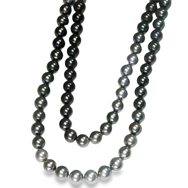 14KW 10-11MM Ombre' Tahitian Pearl Necklace Pickens, Inc. Jewelers Atlanta, GA