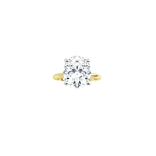 Engagement Ring P.J. Rossi Jewelers Lauderdale-By-The-Sea, FL
