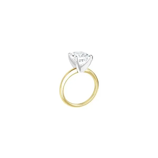 Engagement Ring Image 2 P.J. Rossi Jewelers Lauderdale-By-The-Sea, FL