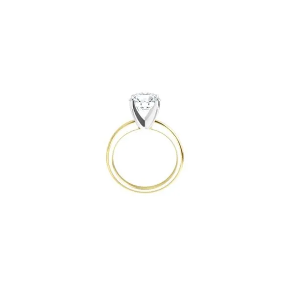 Engagement Ring Image 2 P.J. Rossi Jewelers Lauderdale-By-The-Sea, FL