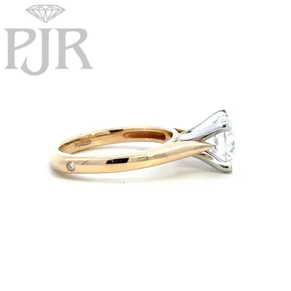 Engagement Ring Image 3 P.J. Rossi Jewelers Lauderdale-By-The-Sea, FL