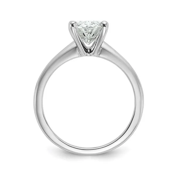 Lab Grown Diamond Engagement Ring Image 2 P.J. Rossi Jewelers Lauderdale-By-The-Sea, FL
