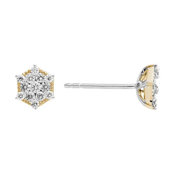 Diamond Earrings P.J. Rossi Jewelers Lauderdale-By-The-Sea, FL