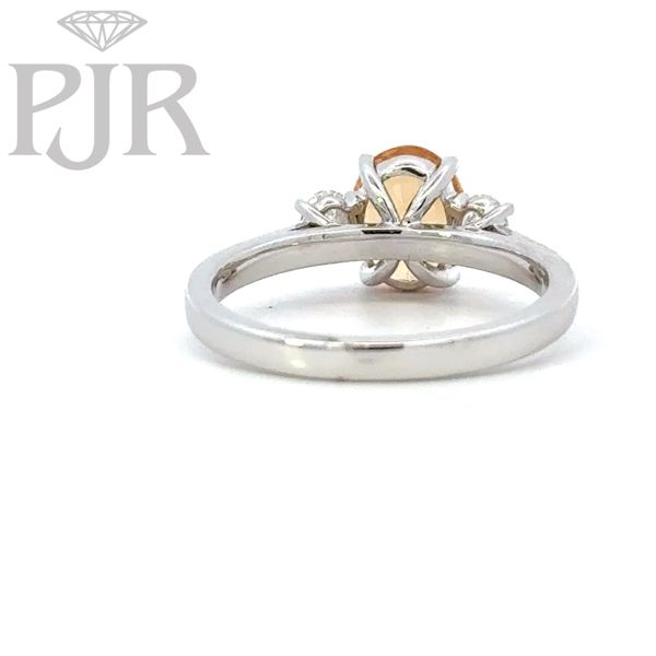 Ladies Gemstone Ring Image 4 P.J. Rossi Jewelers Lauderdale-By-The-Sea, FL