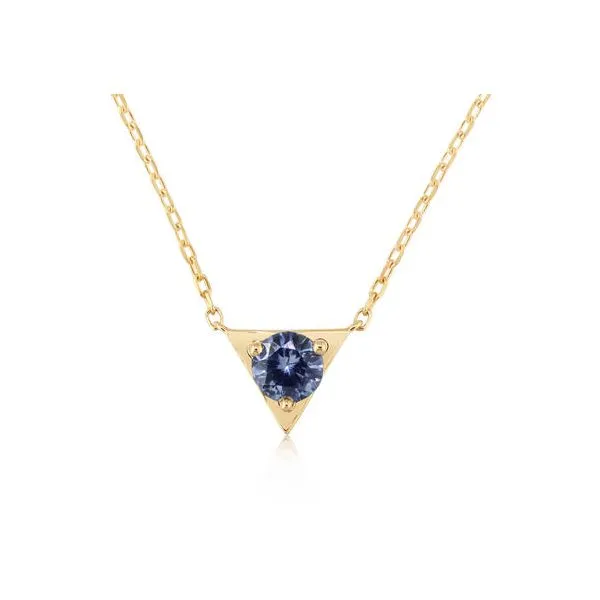 Gemstone Necklace P.J. Rossi Jewelers Lauderdale-By-The-Sea, FL