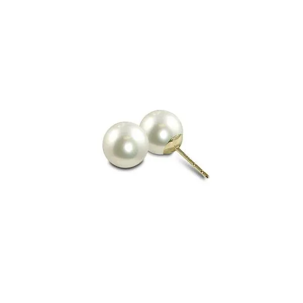 14K Yellow Gold White Freshwater Pearl Stud Earrings P.J. Rossi Jewelers Lauderdale-By-The-Sea, FL