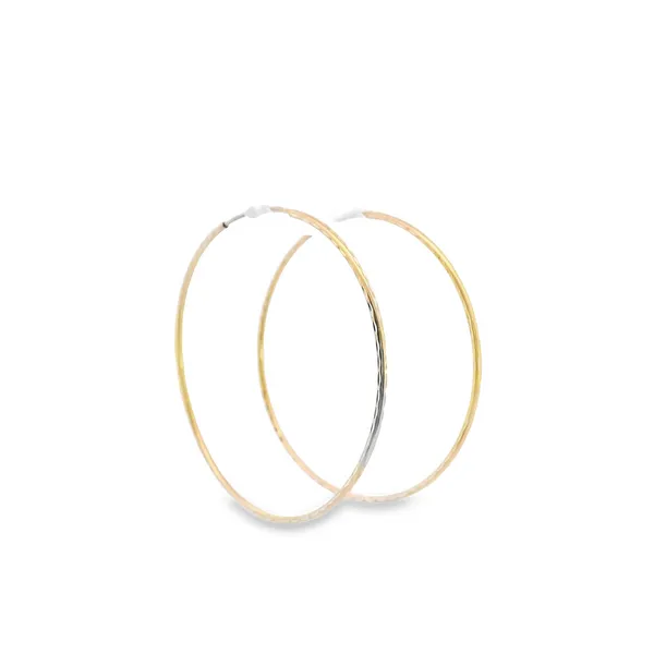 Gold Earrings Image 2 P.J. Rossi Jewelers Lauderdale-By-The-Sea, FL