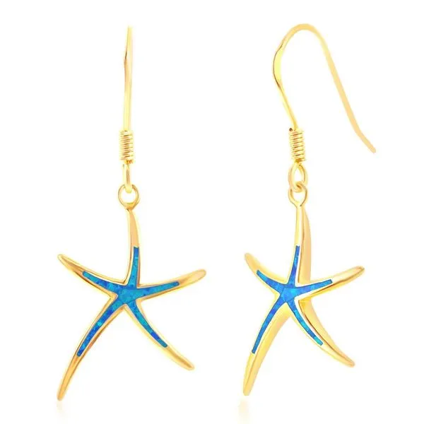Silver Earrings P.J. Rossi Jewelers Lauderdale-By-The-Sea, FL