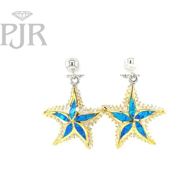 Silver Earrings P.J. Rossi Jewelers Lauderdale-By-The-Sea, FL
