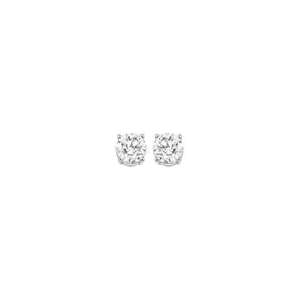 14K White Gold Diamond Stud Earrings Puckett's Fine Jewelry Benton, KY