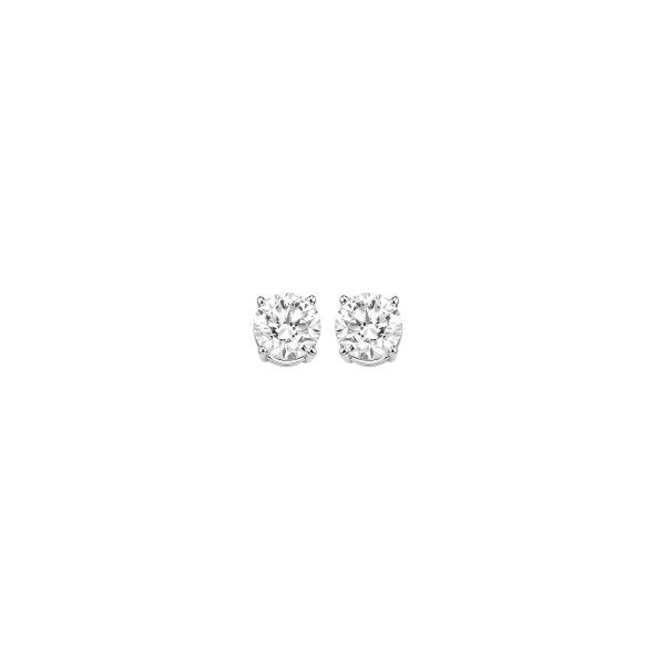 14K White Gold Diamond Earrings Puckett's Fine Jewelry Benton, KY