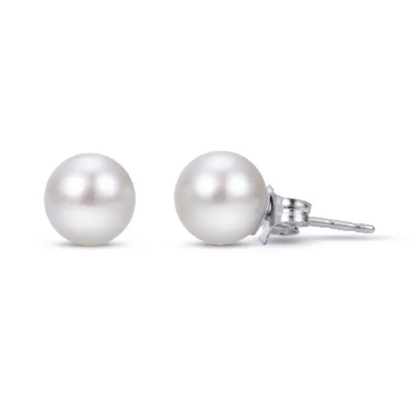 14K White Gold Freshwater Pearl Stud Earrings - 7.75MM Puckett's Fine Jewelry Benton, KY