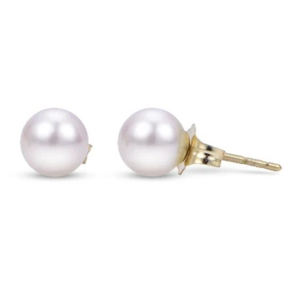 14K White Gold 6mm Akoya Pearl Stud Earrings Puckett's Fine Jewelry Benton, KY