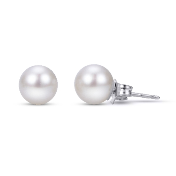 14K White Gold Freshwater Pearl Stud Earrings - 7.75MM Puckett's Fine Jewelry Benton, KY
