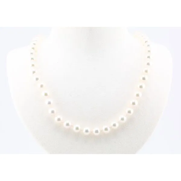 14KW Akoya Pearl Necklace, A Quality, 5.5-6mm, 18" Puckett's Fine Jewelry Benton, KY