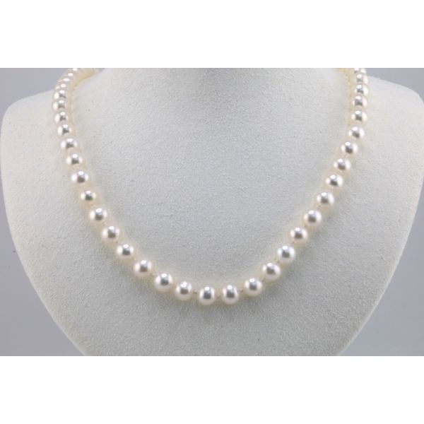 14K Yellow Gold Freshwater Pearl Necklace Puckett's Fine Jewelry Benton, KY