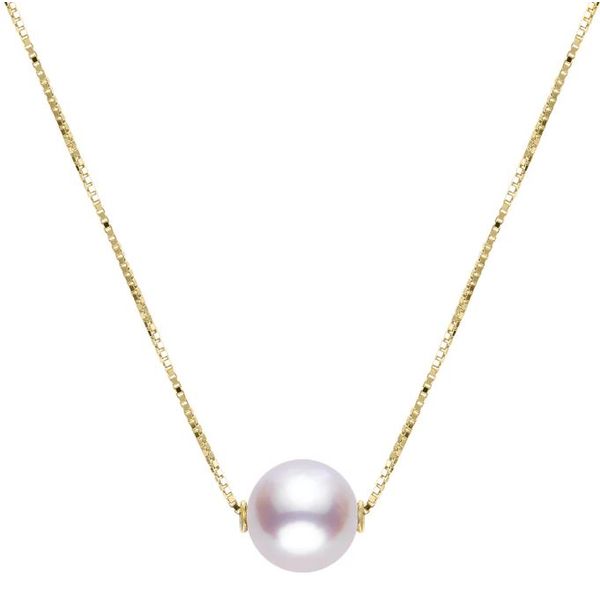 14KT Yellow Gold Akoya Pearl Solitaire Necklace Puckett's Fine Jewelry Benton, KY