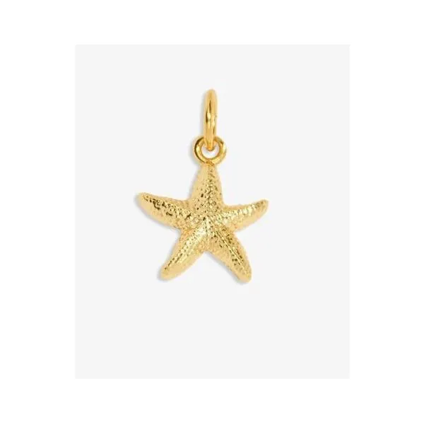 Charm Bar - So Golden - Gold Tone Plated Small Charm Image 2 Puckett's Fine Jewelry Benton, KY