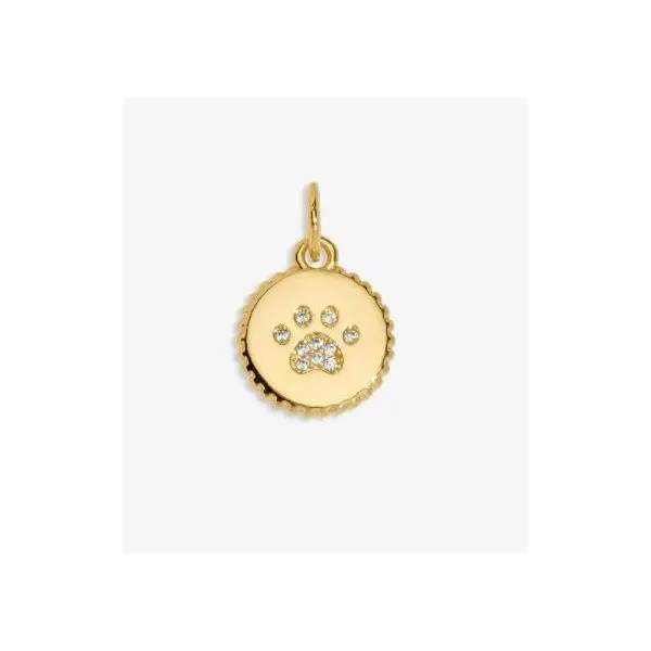 Charm Bar - Pawfect - Gold Tone Plated Small Charm Image 2 Puckett's Fine Jewelry Benton, KY