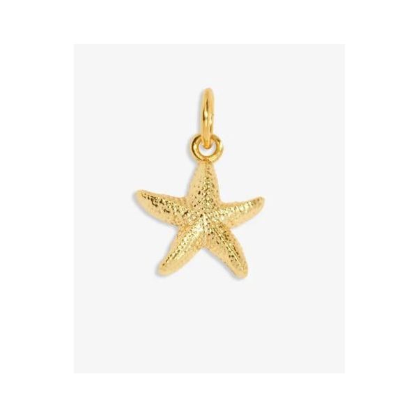 Charm Bar - So Golden - Gold Tone Plated Small Charm Image 2 Puckett's Fine Jewelry Benton, KY