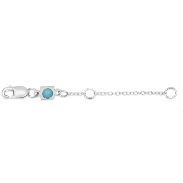 E NEWTON 2 NECKLACE EXTENDER--STERLING Puckett's Fine Jewelry Benton, KY