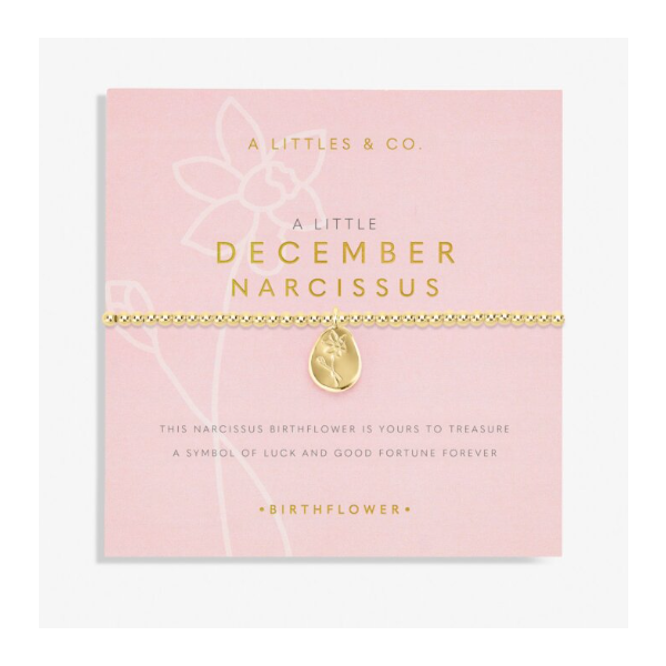 Katie Loxton Birth Flower Bracelet December Puckett's Fine Jewelry Benton, KY