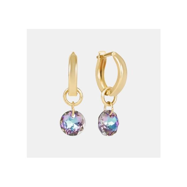 ENEWTON REFLECTION HUGGIE .05 - REFLECTION SMALL CHARM - 6 (JUNE) Puckett's Fine Jewelry Benton, KY