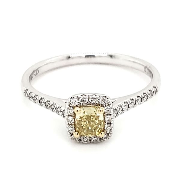 14K White Gold Yellow Cushion Diamond Halo Ring Quality Gem LLC Bethel, CT