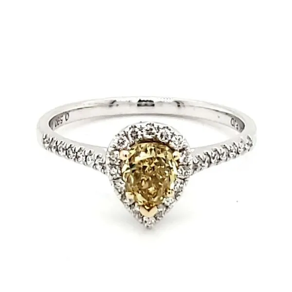 14K White Gold Yellow Pear Diamond Halo Ring Quality Gem LLC Bethel, CT