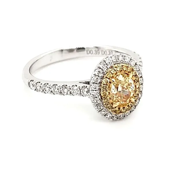 18K White Gold Oval Yellow Diamond & Double Halo Fashion Ring Image 2 Quality Gem LLC Bethel, CT