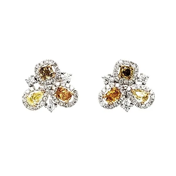 14K White Gold Fancy Colored and White Diamond Earrings Image 3 Quality Gem LLC Bethel, CT