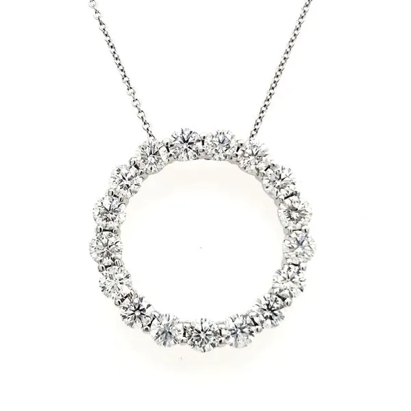 14K White Gold Diamond Circle Pendant Length 18 Inches Quality Gem LLC Bethel, CT