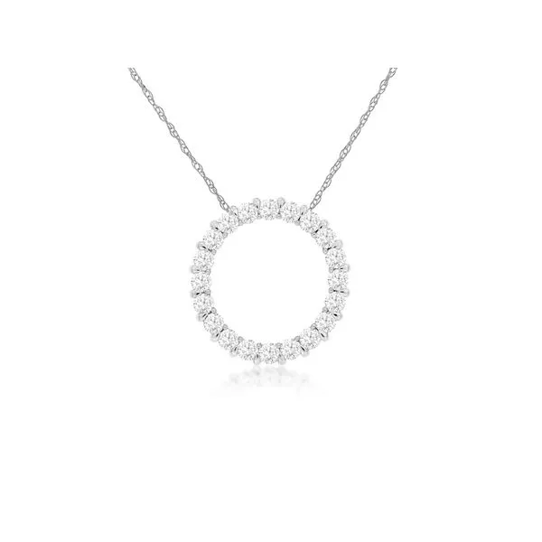 14K White Gold Diamond Circle Pendant Length 18 Inches Quality Gem LLC Bethel, CT