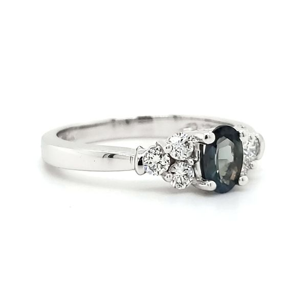 14K White Gold Alexandrite & Diamond Ring Image 2 Quality Gem LLC Bethel, CT