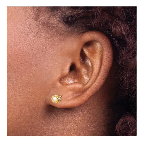 14K Yellow Gold Pearl Bezel Stud Earrings Image 2 Quality Gem LLC Bethel, CT