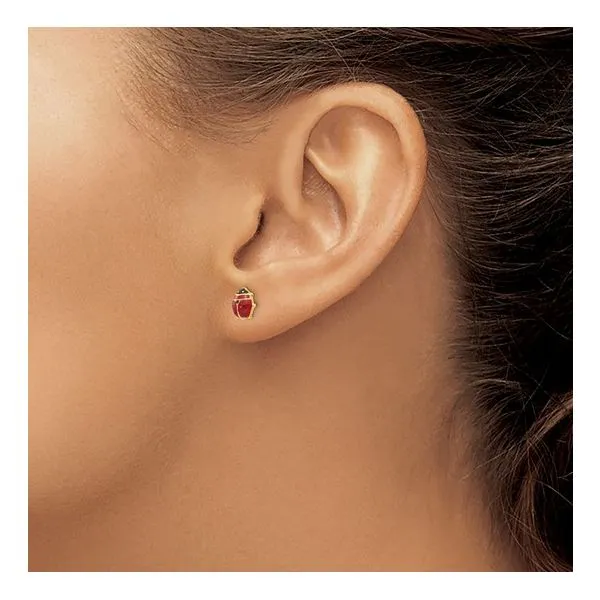 14K Yellow Gold Enamel Ladybug Stud Earrings Image 3 Quality Gem LLC Bethel, CT