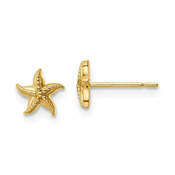 14K Yellow Gold Starfish Earrings Quality Gem LLC Bethel, CT