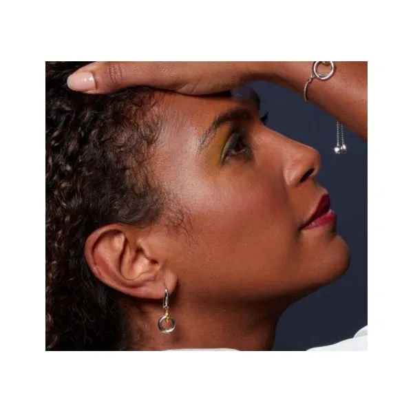 Sterling Silver & 18K Yellow Gold Plate Interlinking Circle Dangle Earrings Image 2 Quality Gem LLC Bethel, CT