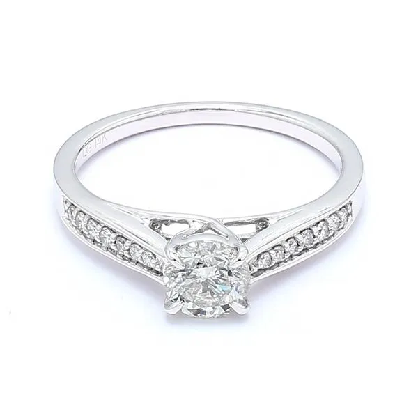 14K White Gold 0.80cttw Round Brilliant Diamond Engagement Ring Raleigh Diamond Fine Jewelry Raleigh, NC