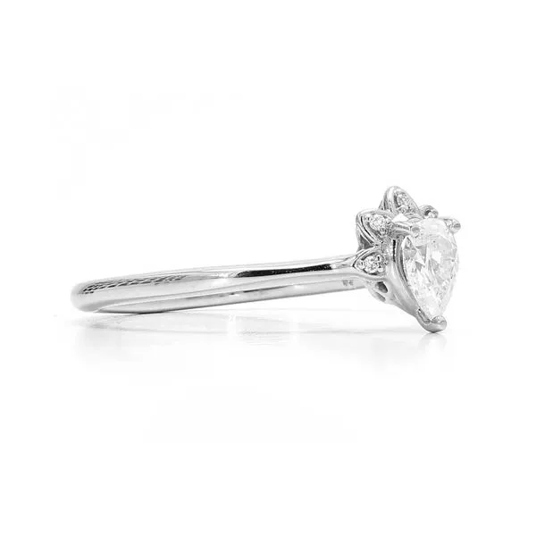 14K White Gold 0.31ctw G-H/SI Half Halo Pear Shaped Diamond Ring Image 3 Raleigh Diamond Fine Jewelry Raleigh, NC
