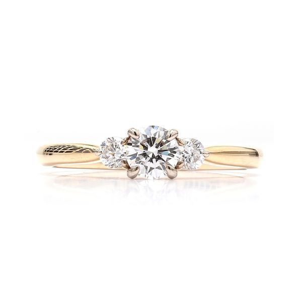 14K White & Yellow Gold 0.63ctw Three Stone Engagement Ring Raleigh Diamond Fine Jewelry Raleigh, NC