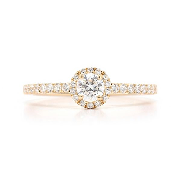 14K Yellow Gold 0.50ctw Round Diamond Halo Engagement Ring Raleigh Diamond Fine Jewelry Raleigh, NC