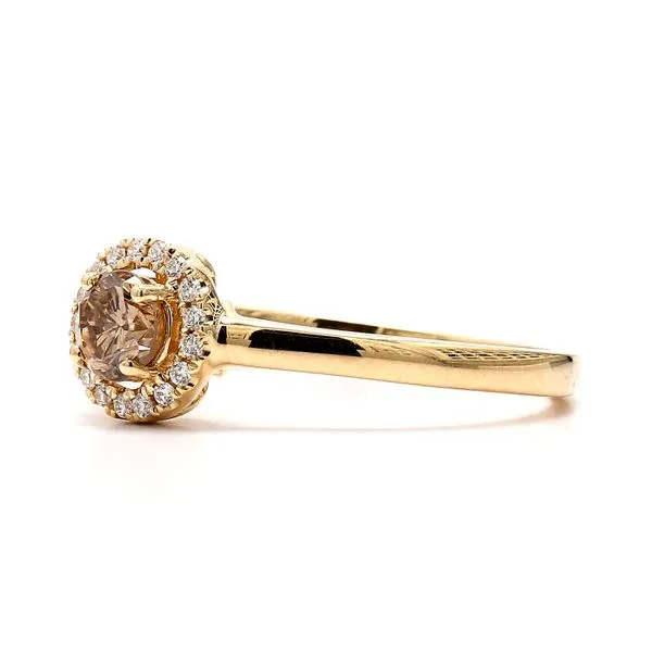 14K Yellow Gold 0.41ctw Cognac RBC Halo Diamond Size 6.25 Image 2 Raleigh Diamond Fine Jewelry Raleigh, NC