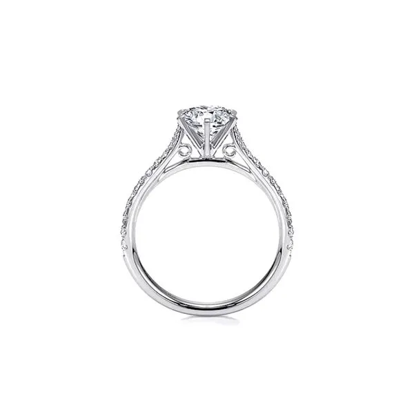 14K White Gold 0.26ctw Accented Cathedral Semi-mount Image 4 Raleigh Diamond Fine Jewelry Raleigh, NC