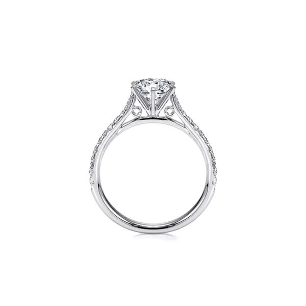 14K White Gold 0.26ctw Accented Cathedral Semi-mount Image 4 Raleigh Diamond Fine Jewelry Raleigh, NC