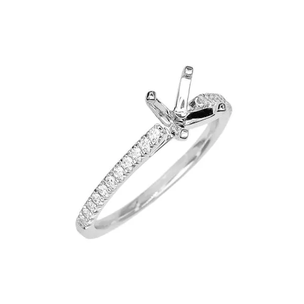 14K White Gold 0.13ctw Diamond Accented Semi-mount Cathedral Engagement Ring Image 2 Raleigh Diamond Fine Jewelry Raleigh, NC