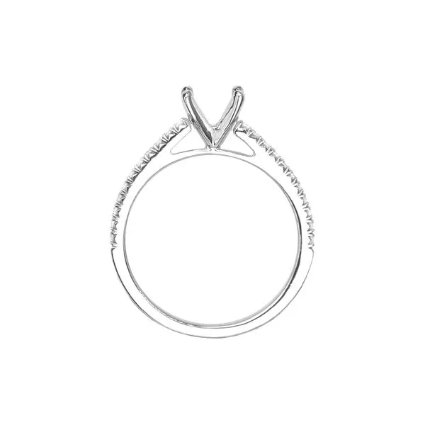 14K White Gold 0.13ctw Diamond Accented Semi-mount Cathedral Engagement Ring Image 3 Raleigh Diamond Fine Jewelry Raleigh, NC