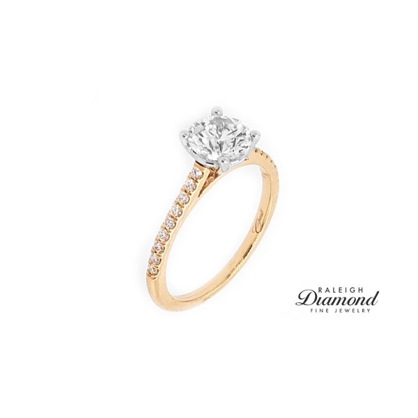 Coast Fishtail Cathedral 0.16cttw Diamond Semi Mount Ring 14k Yellow Gold Image 2 Raleigh Diamond Fine Jewelry Raleigh, NC