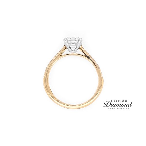 Coast Fishtail Cathedral 0.16cttw Diamond Semi Mount Ring 14k Yellow Gold Image 3 Raleigh Diamond Fine Jewelry Raleigh, NC
